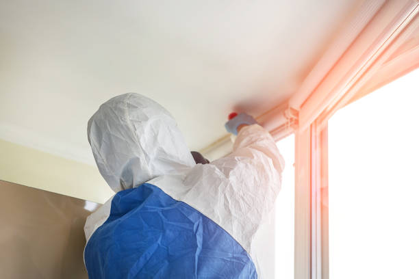 Asbestos and Lead Testing During Mold Inspection