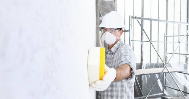 Reliable Charlotte Harbor, FL Mold Removal & Remediation Solutions